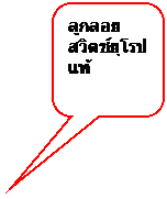 Rounded Rectangular Callout: ลูกลอยสวิตช์ยุโรปแท้