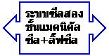 Left-Right Arrow Callout: ระบบซีลสองชั้นแมคนิคัลซีล+ลิ๊ฟซีล