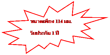 Explosion 2: ขนาดเพียง 114 มม.
รับประกัน 1 ปี
